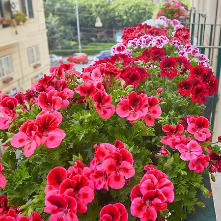 Bed & Breakfast Better & Better Palermo