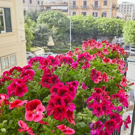 Better & Better Palermo