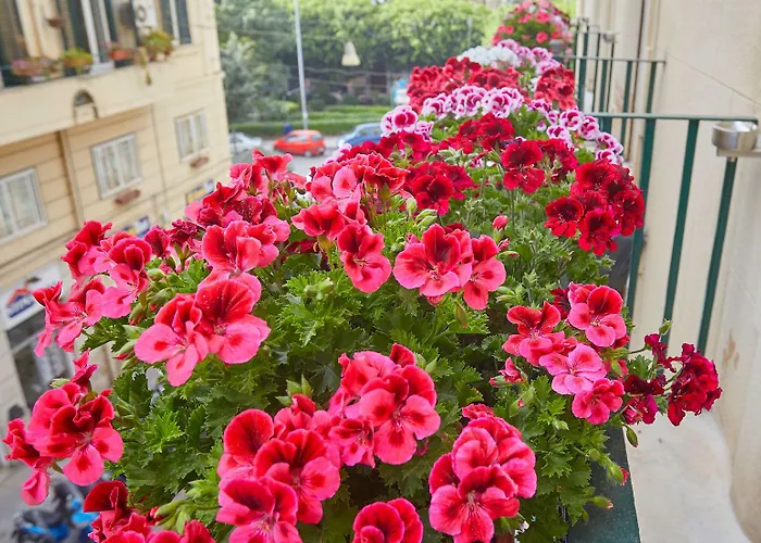 Bed & Breakfast Better & Better Palermo