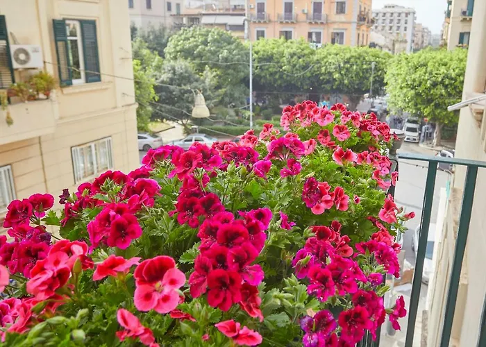 Better & Better Palermo